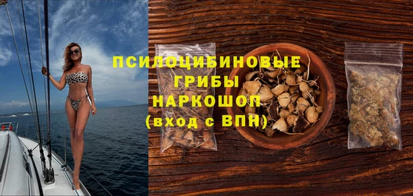 стафф Белокуриха
