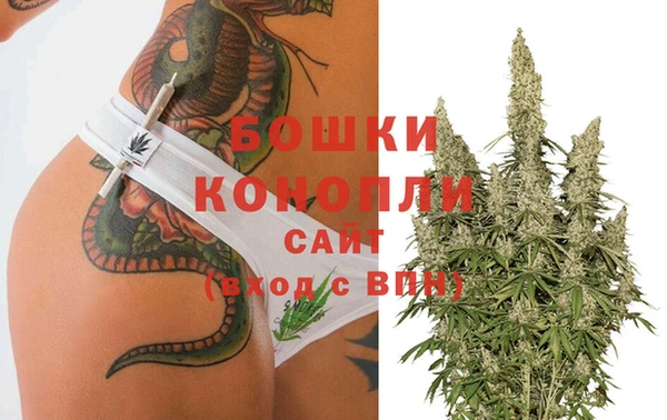 стафф Белокуриха