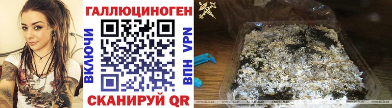 kraken сайт  Кремёнки  Псилоцибиновые грибы прущие грибы  купить наркоту 